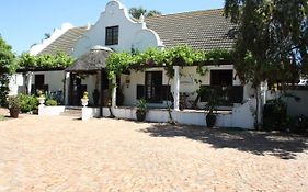 The Vinelands On Alpha Guest House